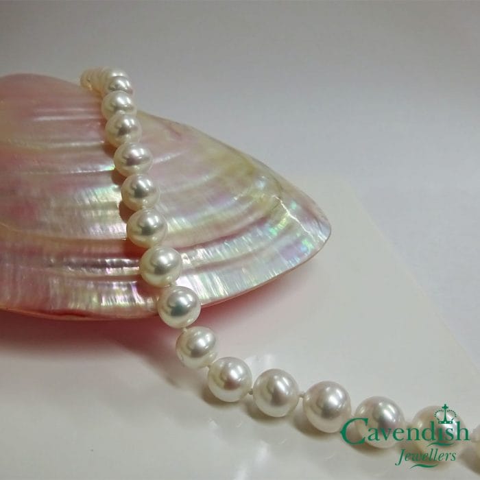 cultured pearl bracelet on shell