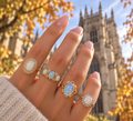 vintage opal ring collection with york minster and autumn trees