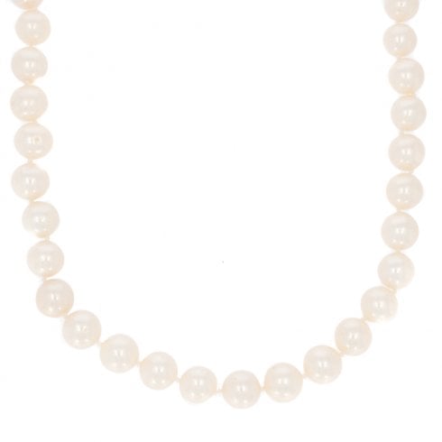 Fresh Water Pearl Necklace