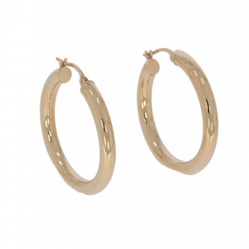 Gold Hoop Earrings