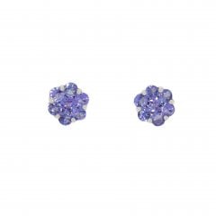 White Gold Tanzanite Cluster Stud Earrings